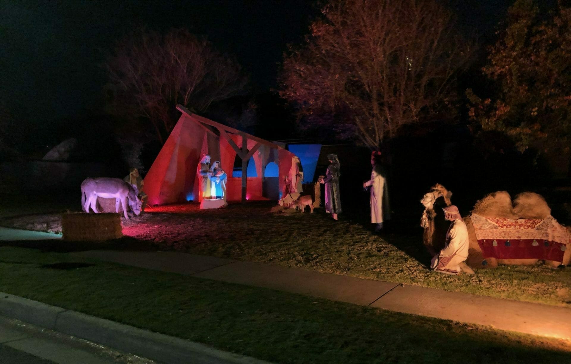image of live nativity